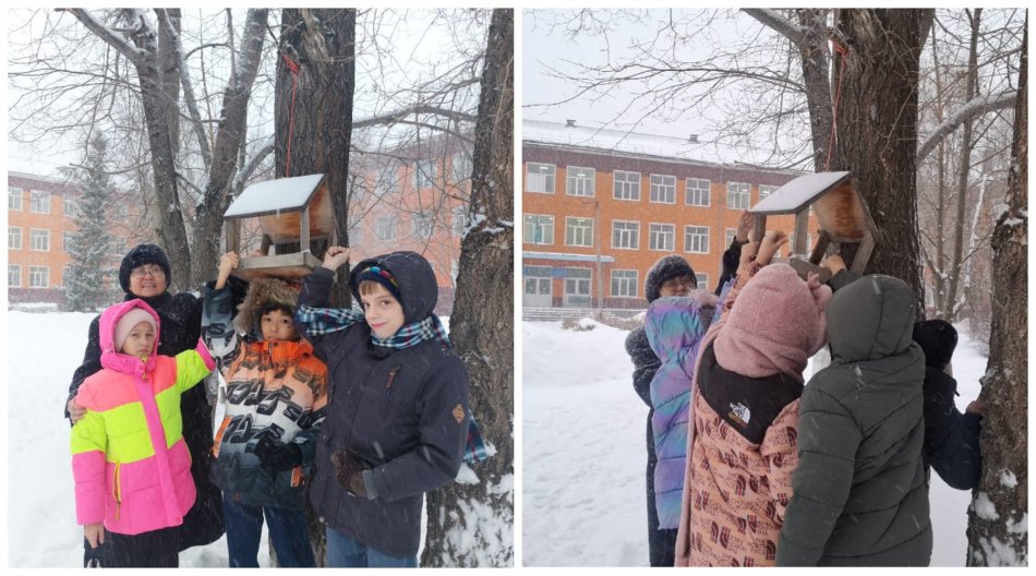 «Құстарға көмектесейік!» экологиялық акциясы